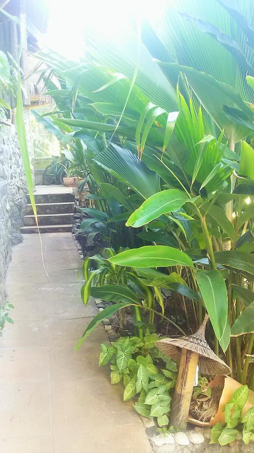 Pousada Tãnara Itacaré Exterior foto