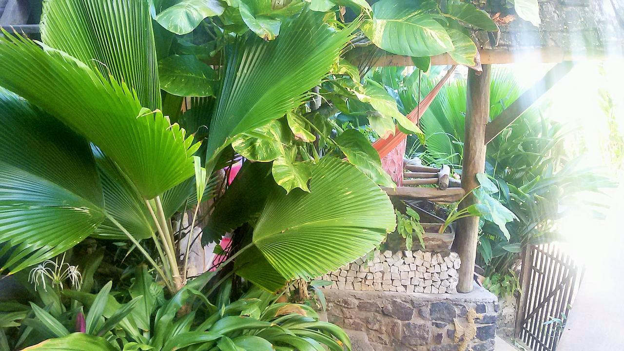 Pousada Tãnara Itacaré Exterior foto